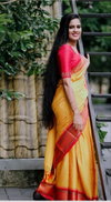 Checks Paithani By Psw Gold Weaving Cotton Silk Designer Sarees Wholesalers In Delhi
